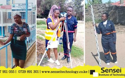 My Survey Assistant Training Journey 2 Alumni Feature