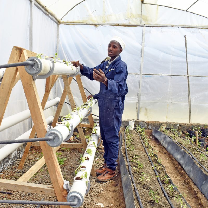 Green House/Hydroponics Irrigation Maintanance Technician