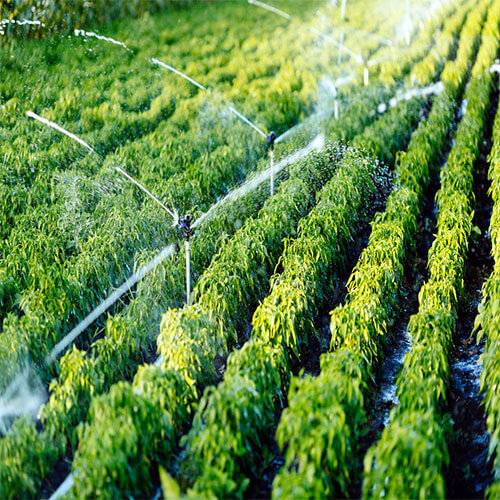 Irrigation Installation & Repair Technician